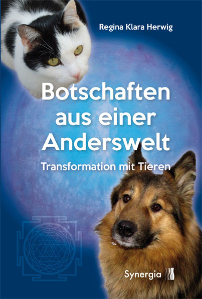 Botschaften aus einer Anderswelt, E-Book Botschaften aus einer Anderswelt, E-Book