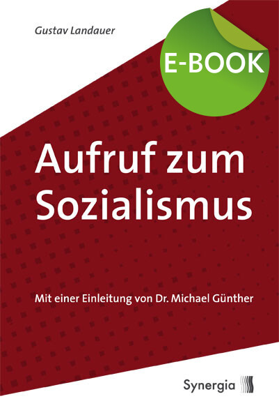 Aufruf zum Sozialismus - E-Book